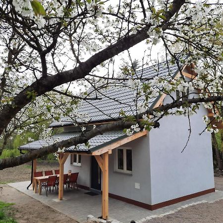 Noclegi Rozanka Radomierz Exterior foto