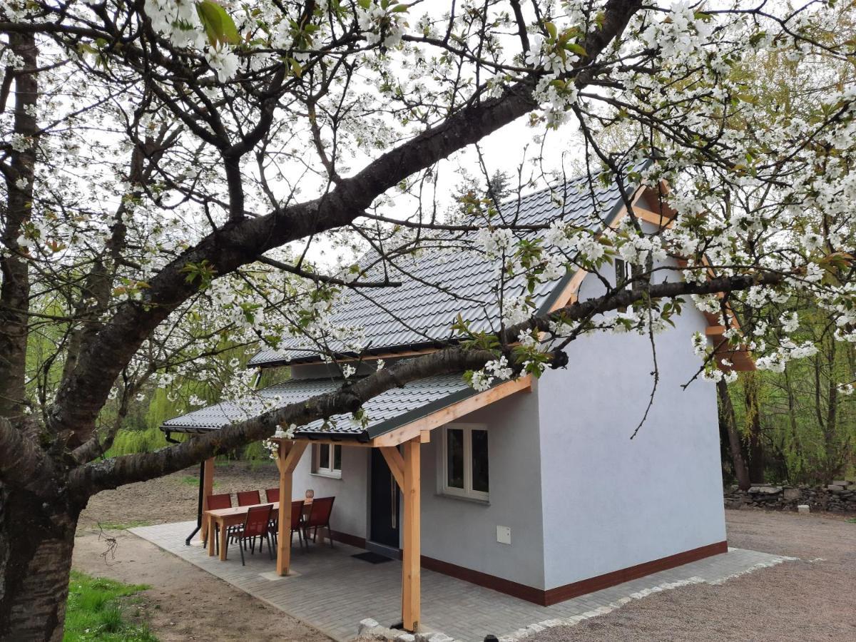 Noclegi Rozanka Radomierz Exterior foto